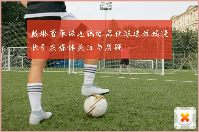 戴琳曾承诺还钱给离世球迷妈妈现状引发媒体关注与质疑