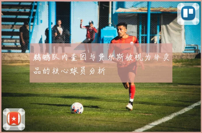 鹈鹕队内奎因与费尔斯被视为非卖品的核心球员分析
