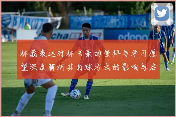 林葳表达对林书豪的崇拜与学习愿望深度解析其打球方式的影响与启发
